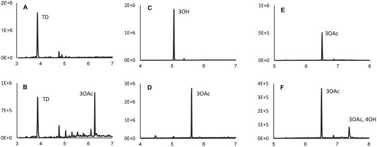 Fig 6