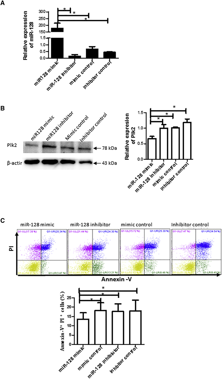 Figure 6