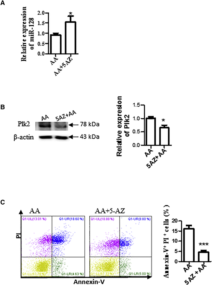 Figure 7