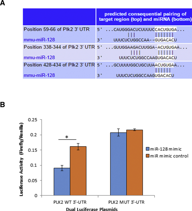 Figure 5