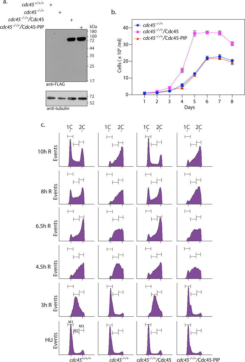 Fig 5