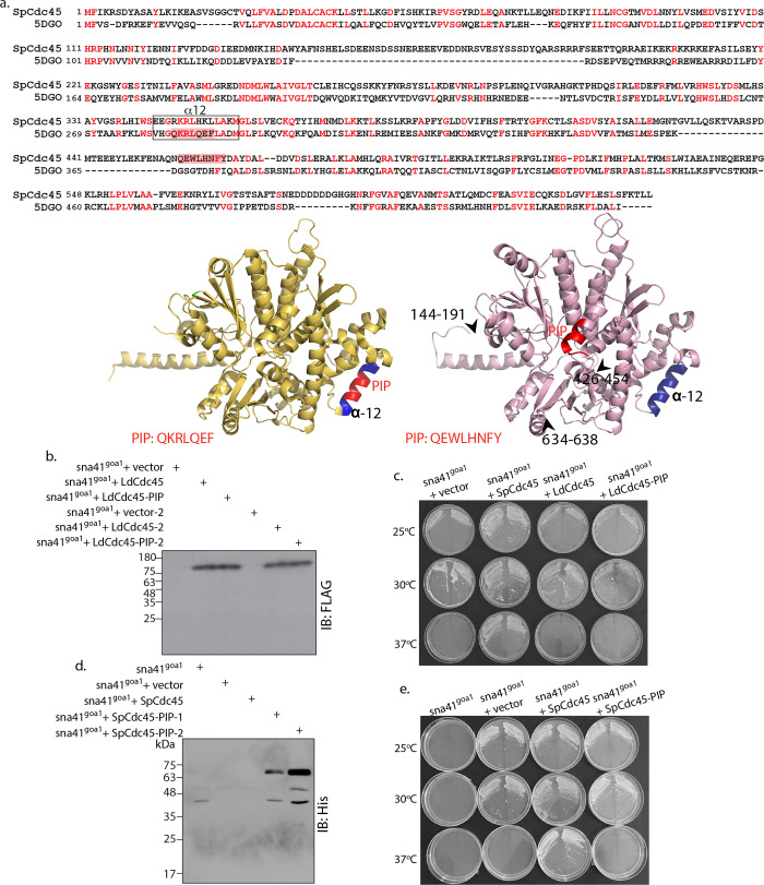 Fig 7