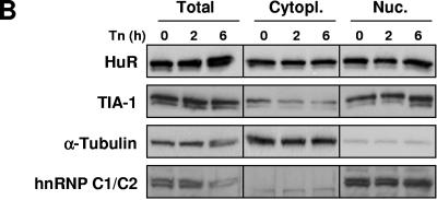 FIG.4.