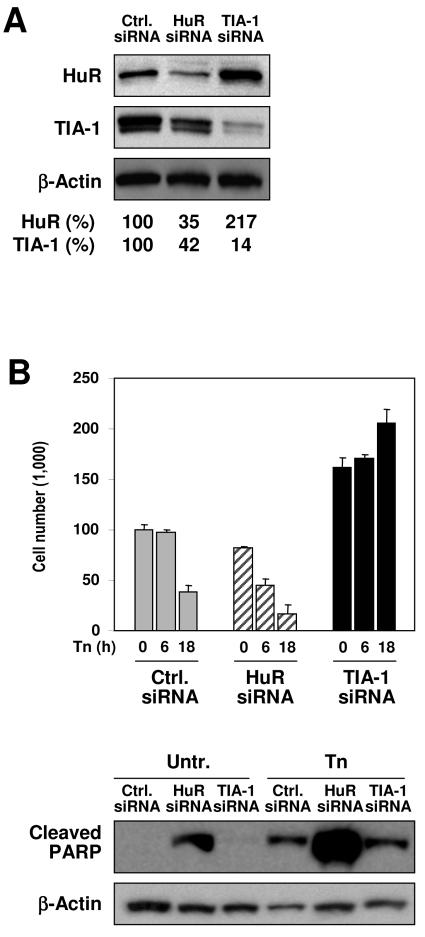 FIG. 9.