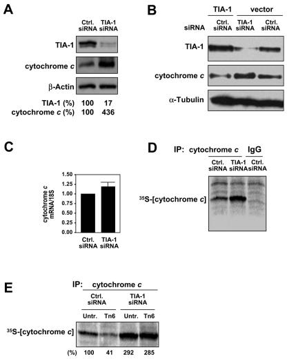 FIG. 8.