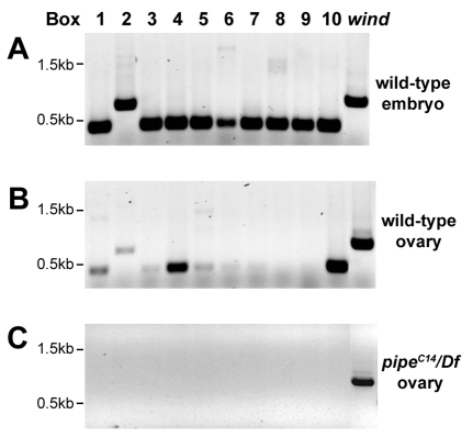 Fig. 1.