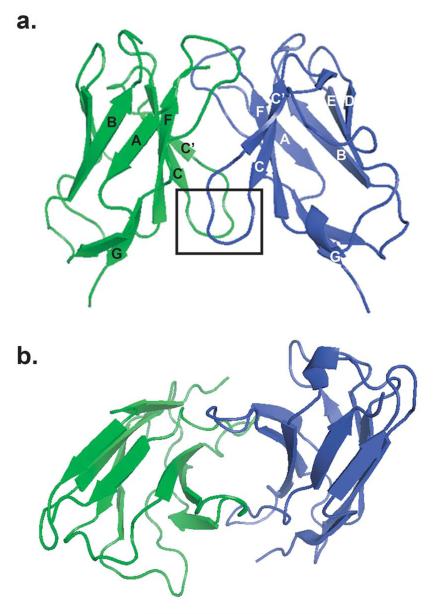 Fig. (1)