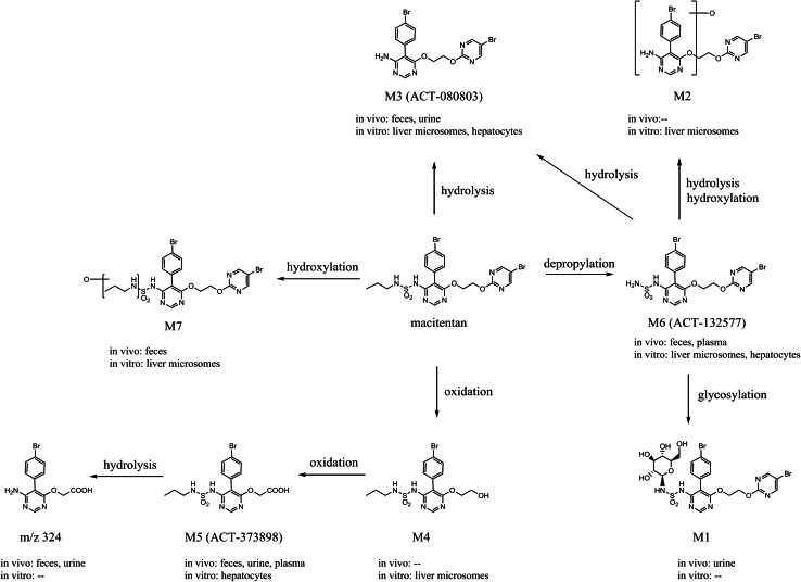 Fig. 1