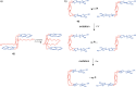 Figure 23