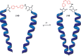 Figure 35