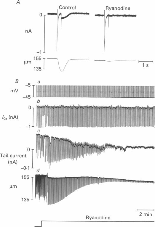 Fig. 14