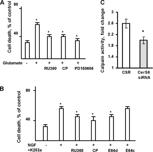 FIGURE 11.