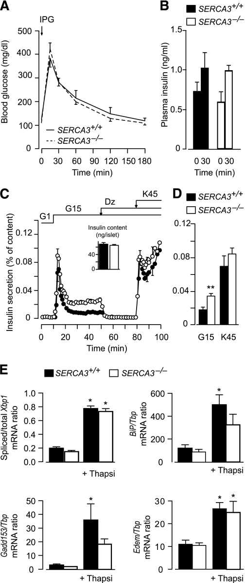 FIG. 8.