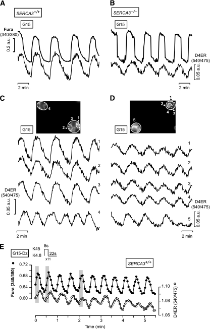 FIG. 2.