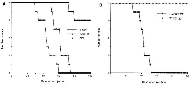 FIG. 6