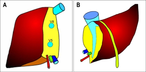 Fig. 11