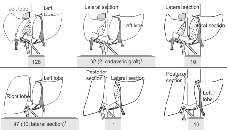 Fig. 15