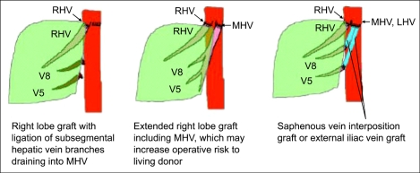 Fig. 13