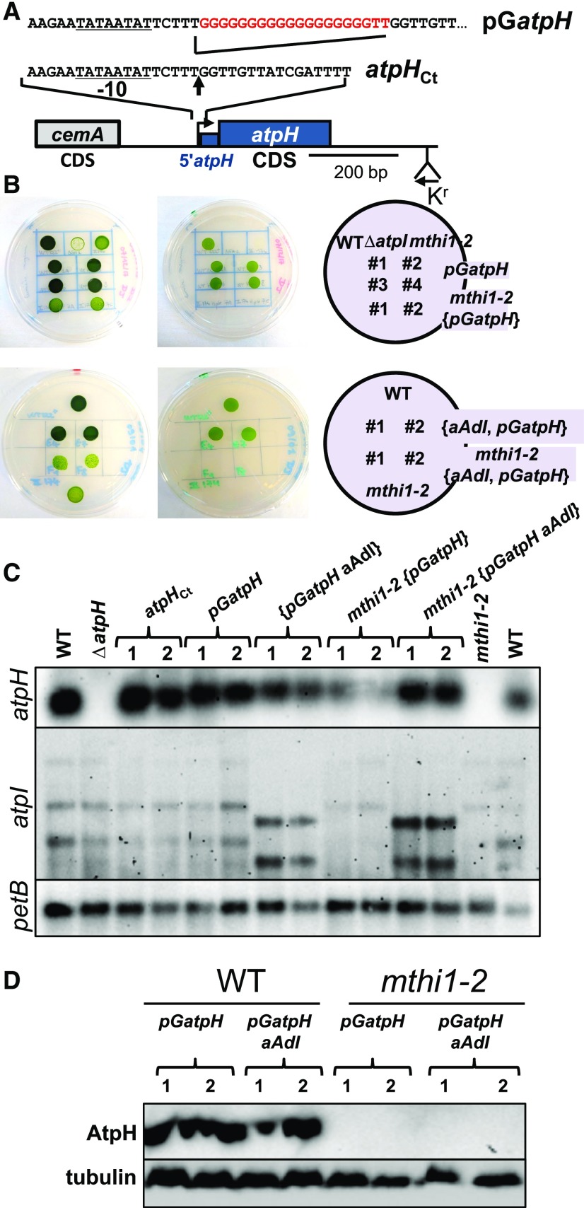 Figure 6.