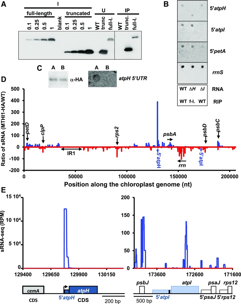 Figure 11.