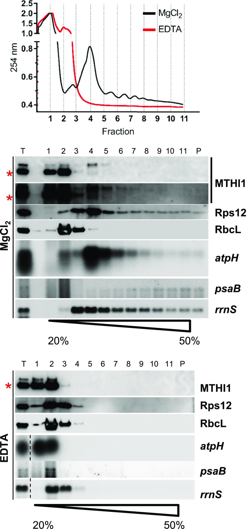 Figure 12.