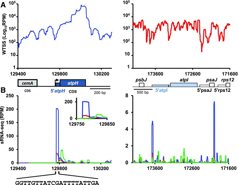 Figure 10.