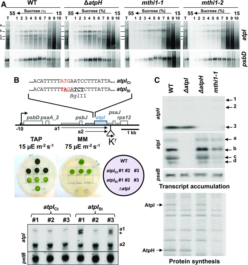 Figure 2.