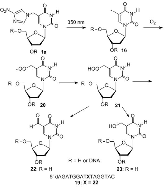 Scheme 2