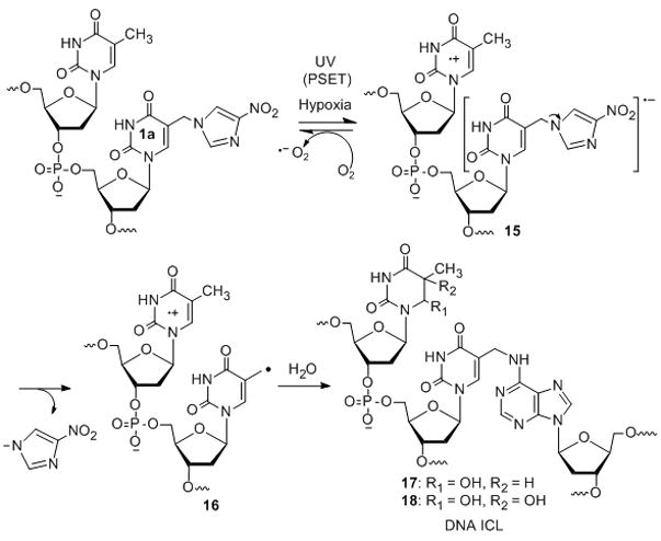 Scheme 3