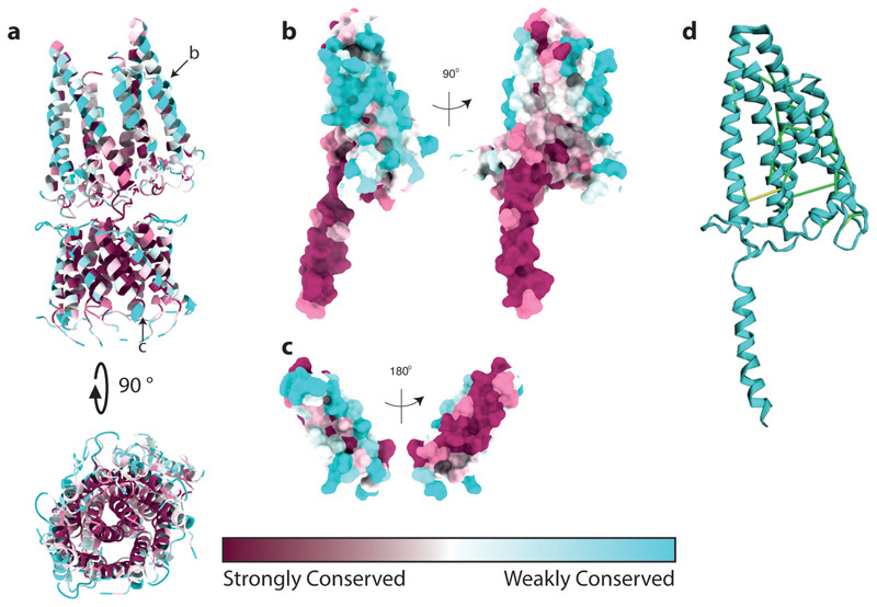 Extended Data Fig. 7