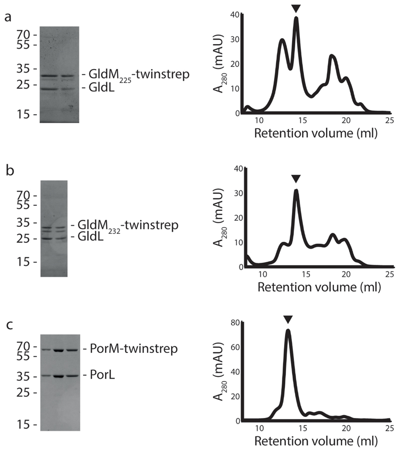 Extended Data Fig. 1