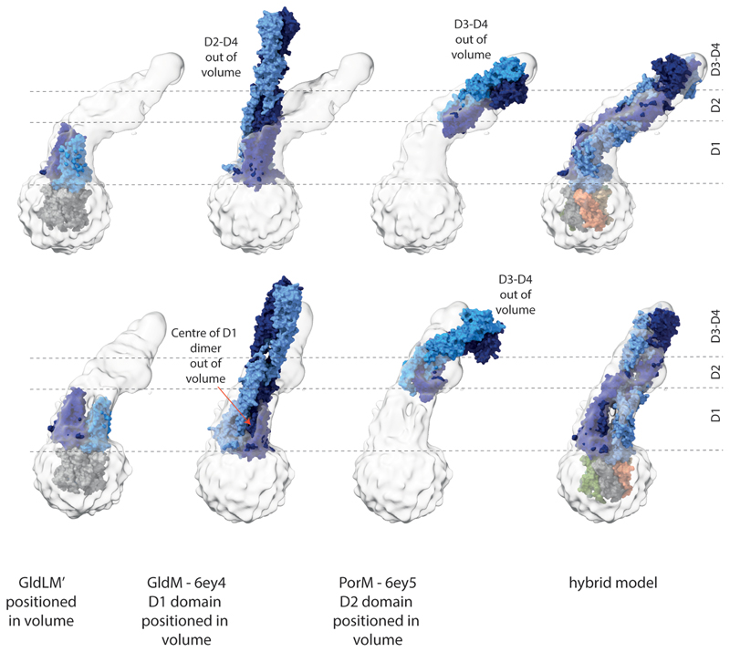 Extended Data Fig. 8