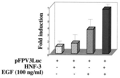 FIG. 8.