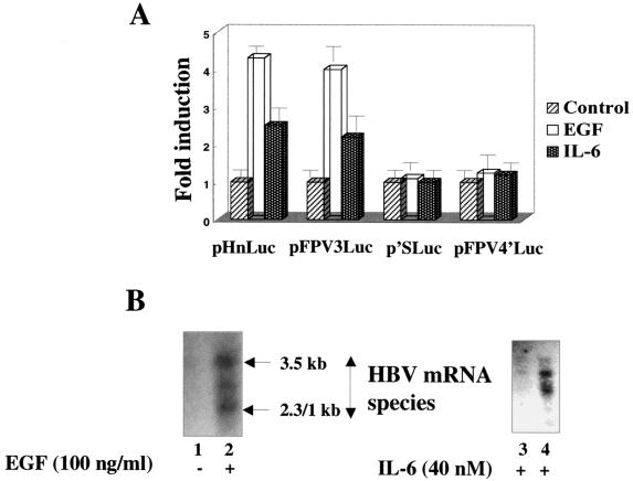 FIG. 5.