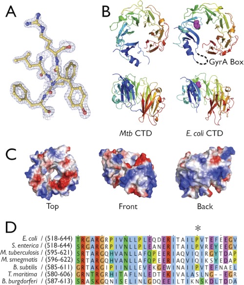 FIGURE 1.