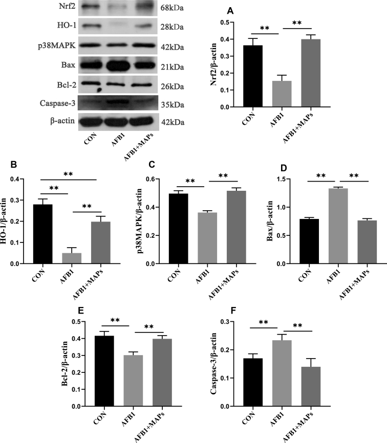 Figure 7