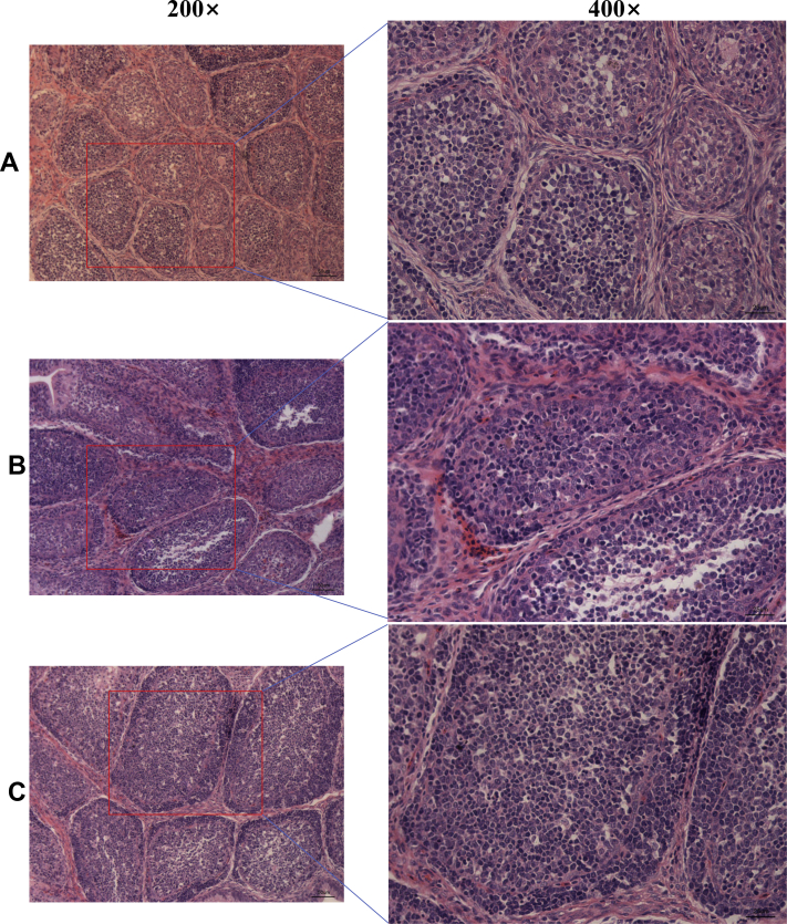 Figure 2