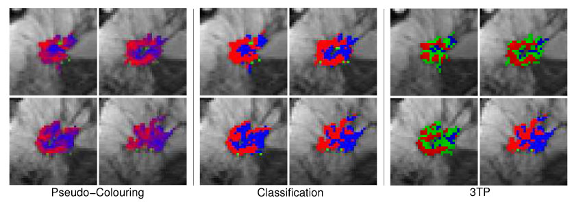 Fig. 10