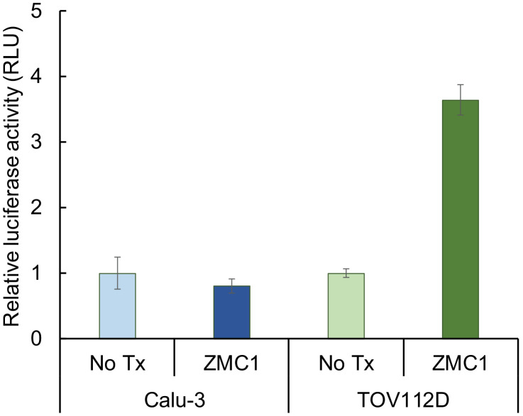 Figure 6—figure supplement 1.