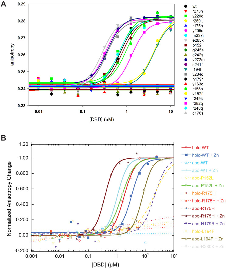 Figure 4—figure supplement 1.