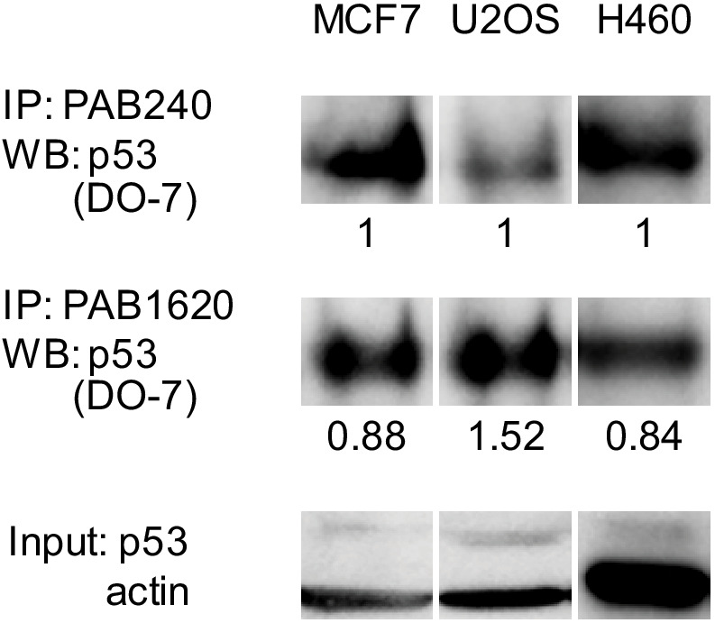 Figure 10.