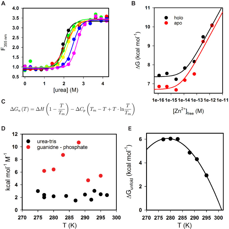 Figure 2—figure supplement 1.