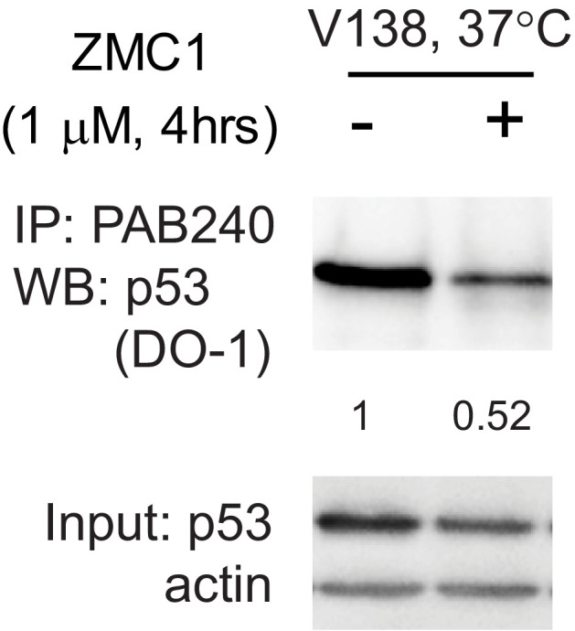 Figure 6—figure supplement 2.