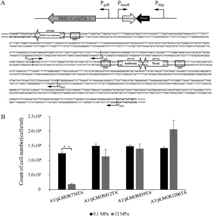 FIG 3