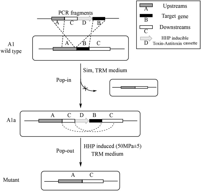 FIG 4