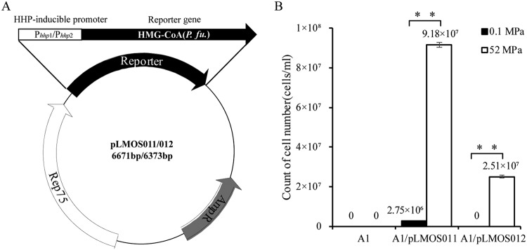 FIG 2