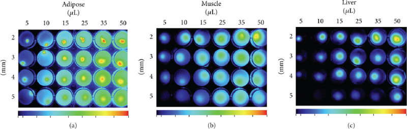 Fig. (4).