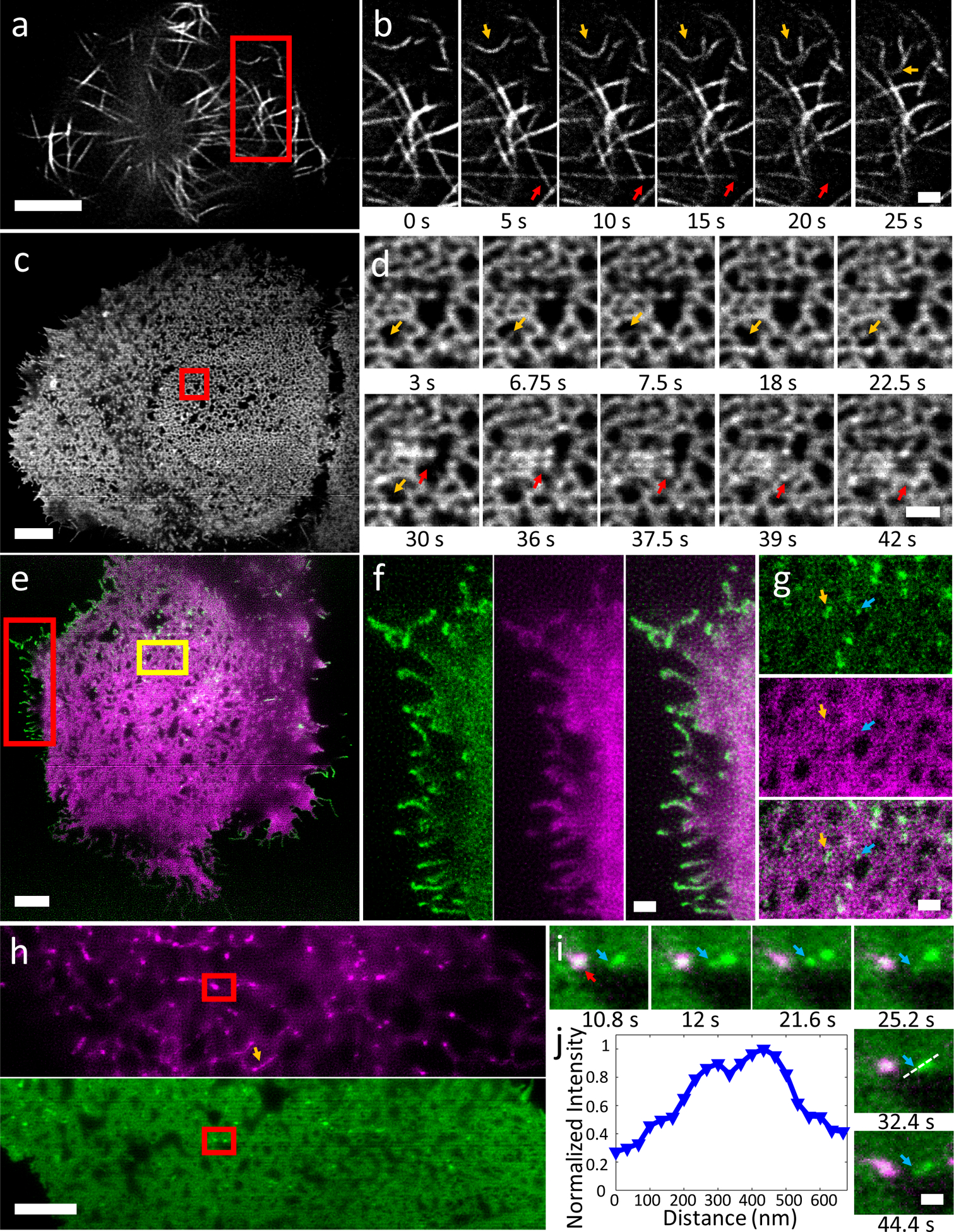 Figure 2,