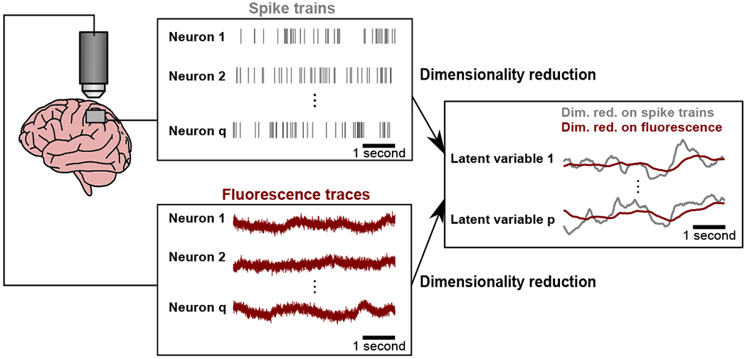 Figure 1: