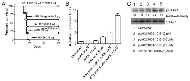 FIGURE 3